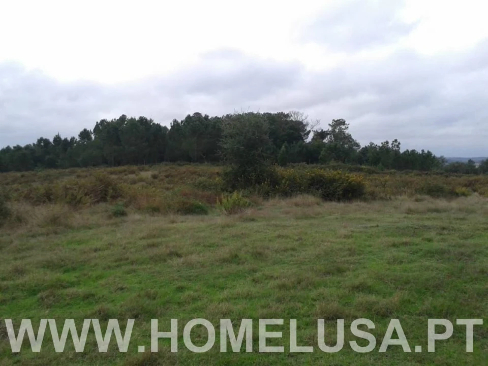 Terreno Misto para Venda em Soure Foto 3