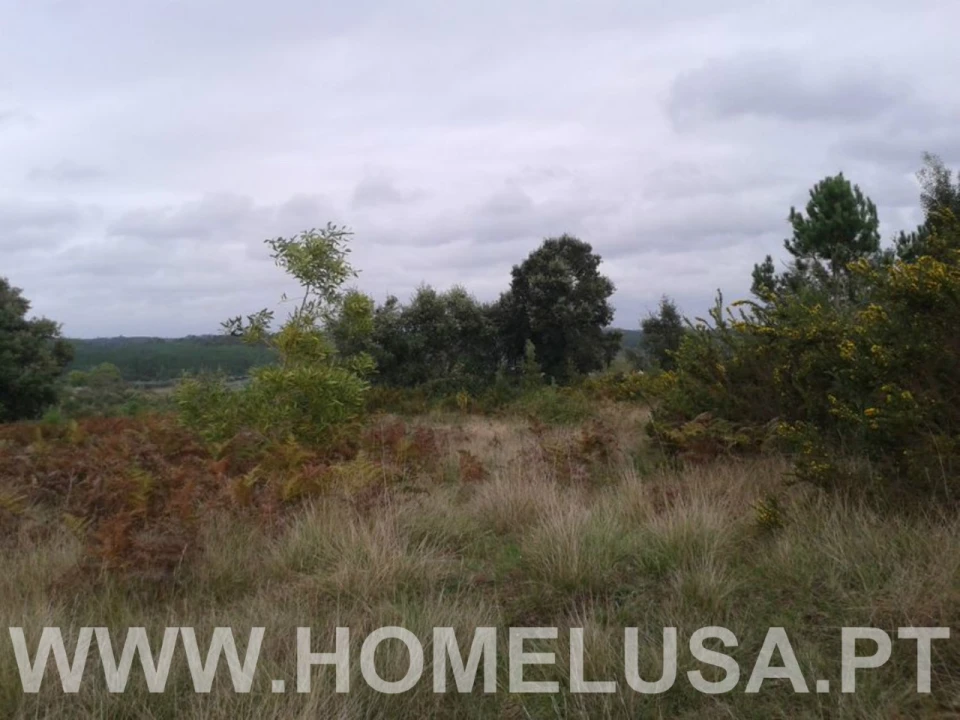 Terreno Misto para Venda em Soure Foto 4