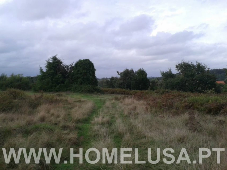 Terreno Misto para Venda em Soure Foto 5