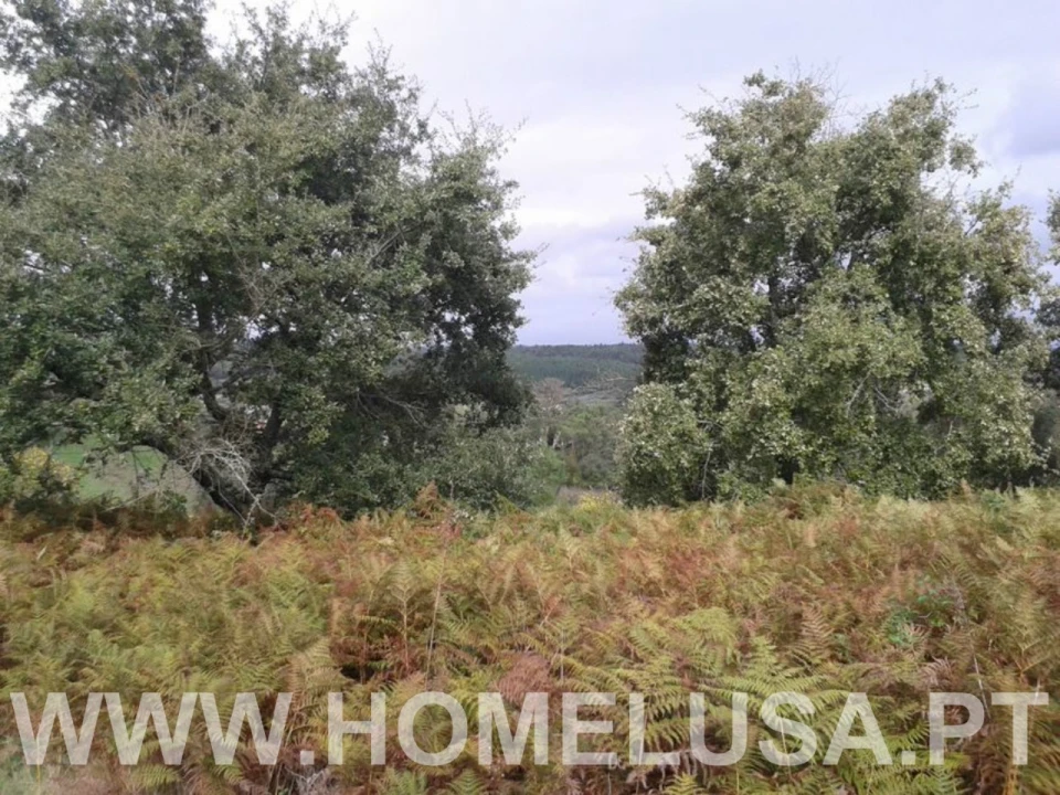 Terreno Misto para Venda em Soure Foto 7