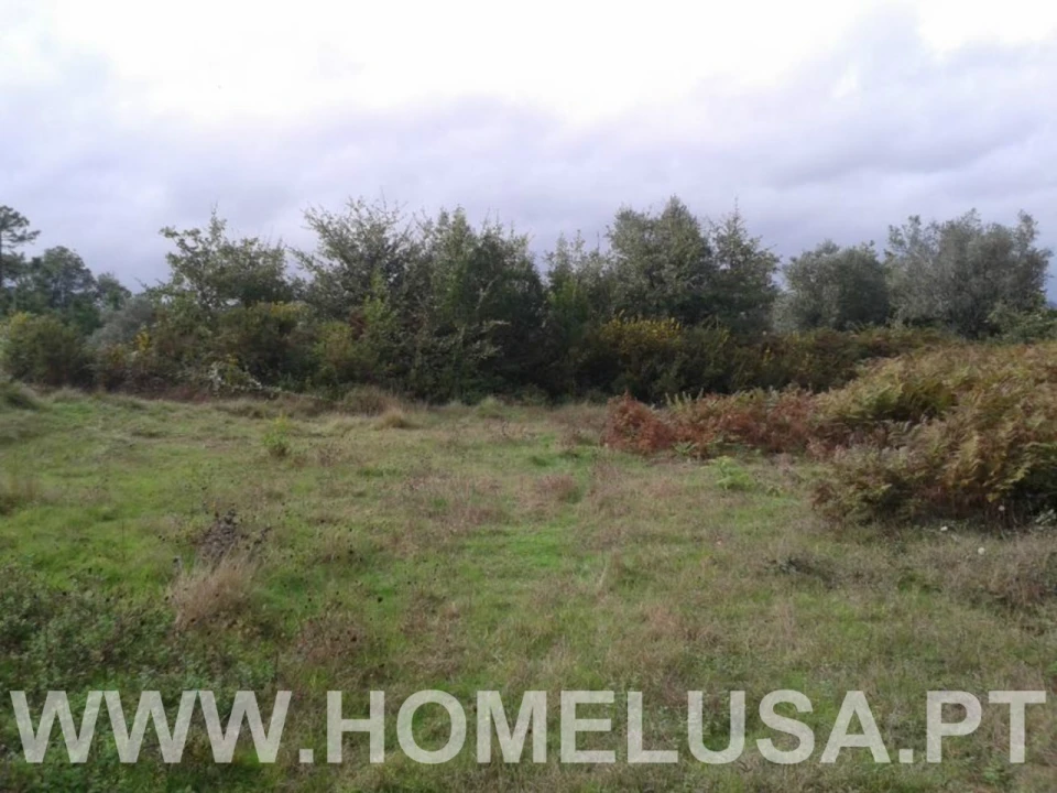 Terreno Misto para Venda em Soure Foto 8