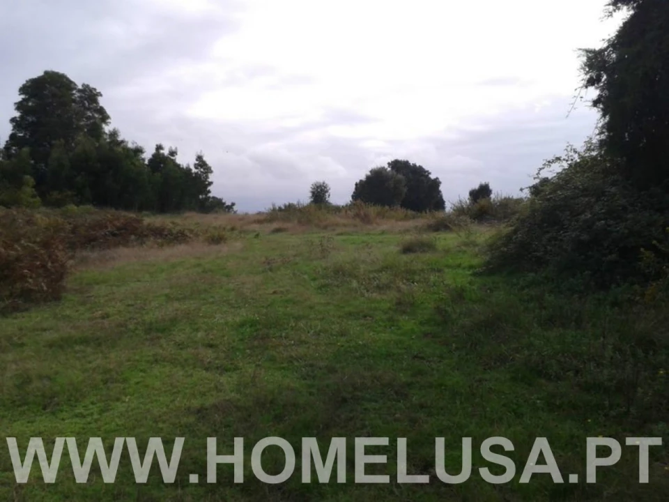 Terreno Misto para Venda em Soure Foto 9