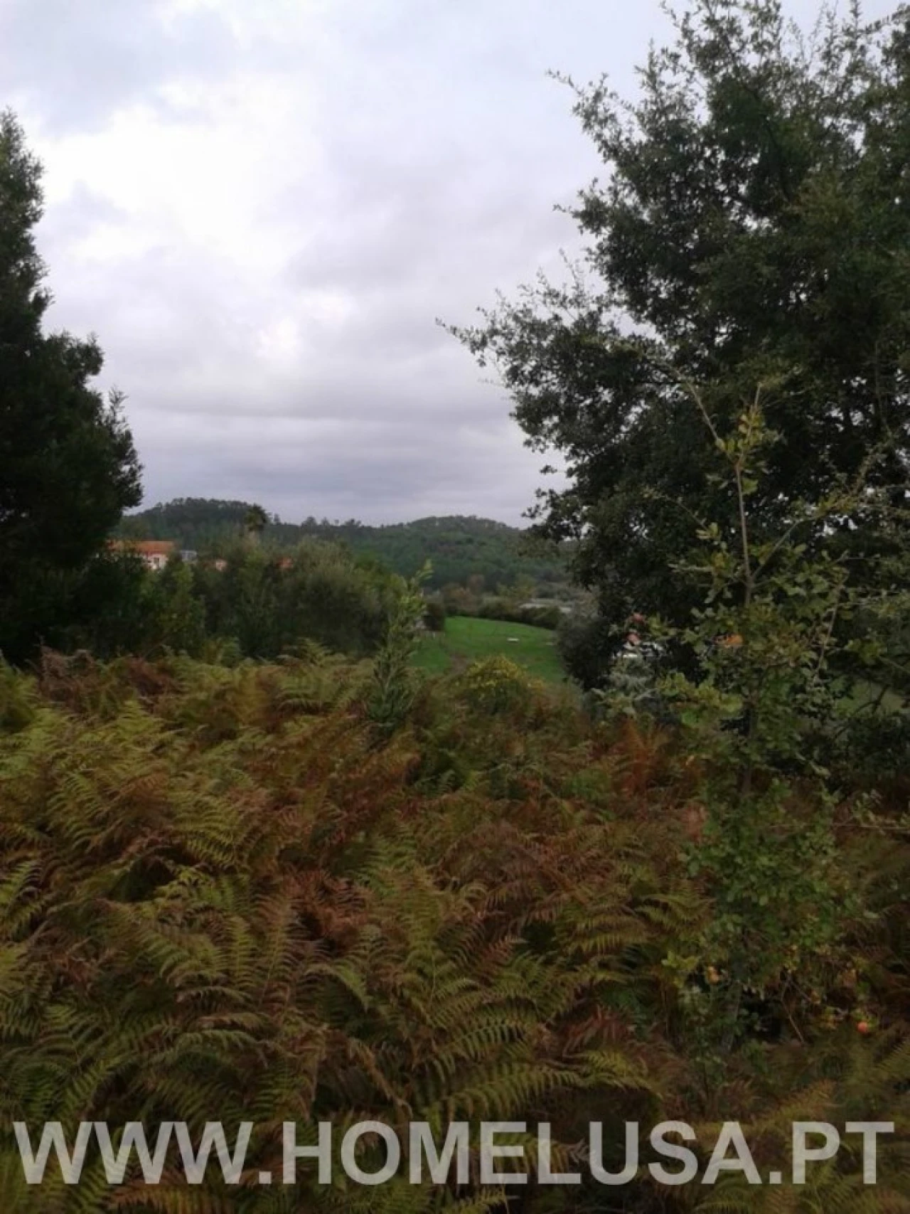 Terreno Misto para Venda em Soure Foto 12