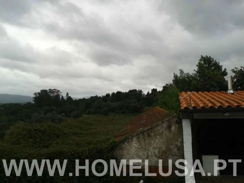 Terreno Misto para Venda em Soure Foto 17
