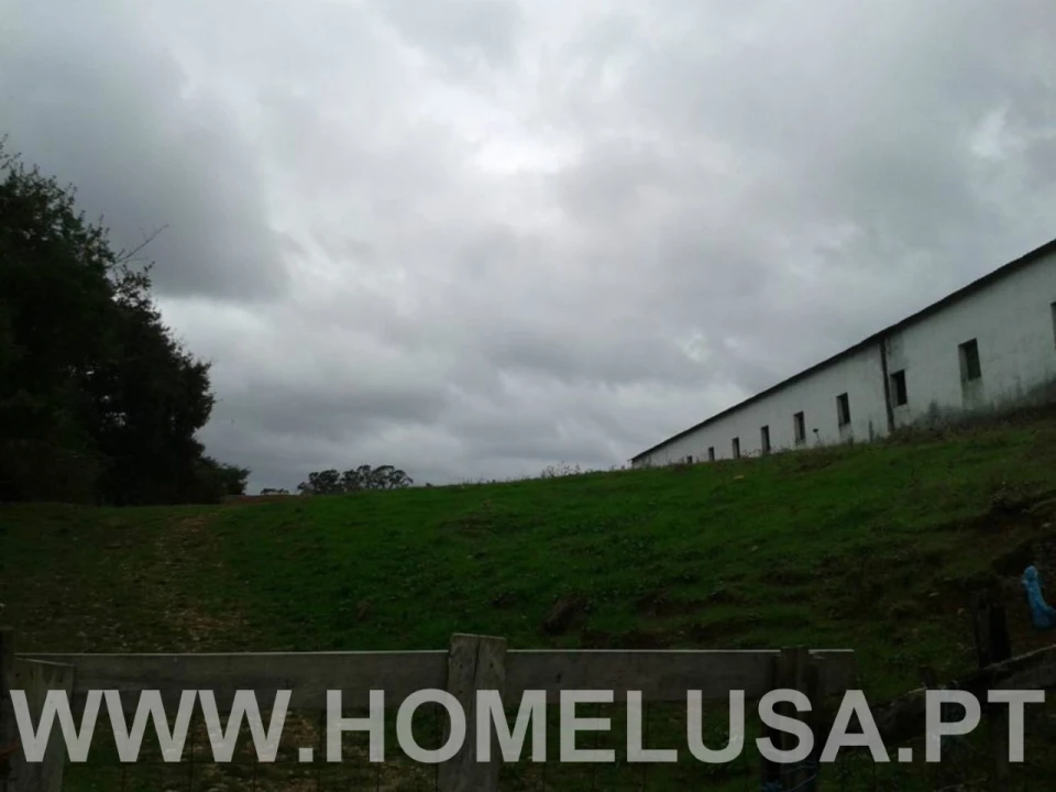 Terreno Misto para Venda em Soure Foto 20
