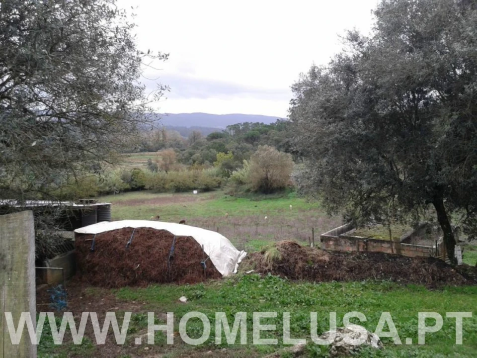 Terreno Misto para Venda em Soure Foto 21