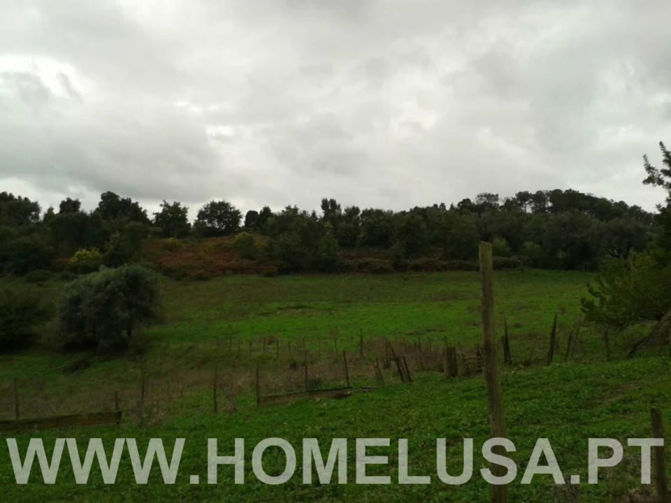 Terreno Misto para Venda em Soure Foto 23