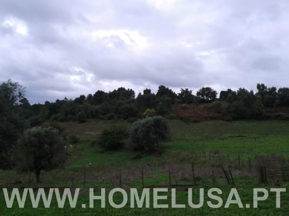 Terreno Misto para Venda em Soure Foto 24