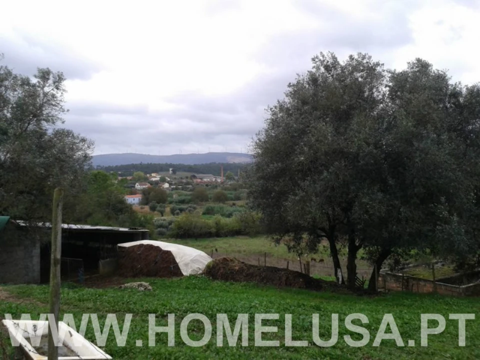 Terreno Misto para Venda em Soure Foto 26