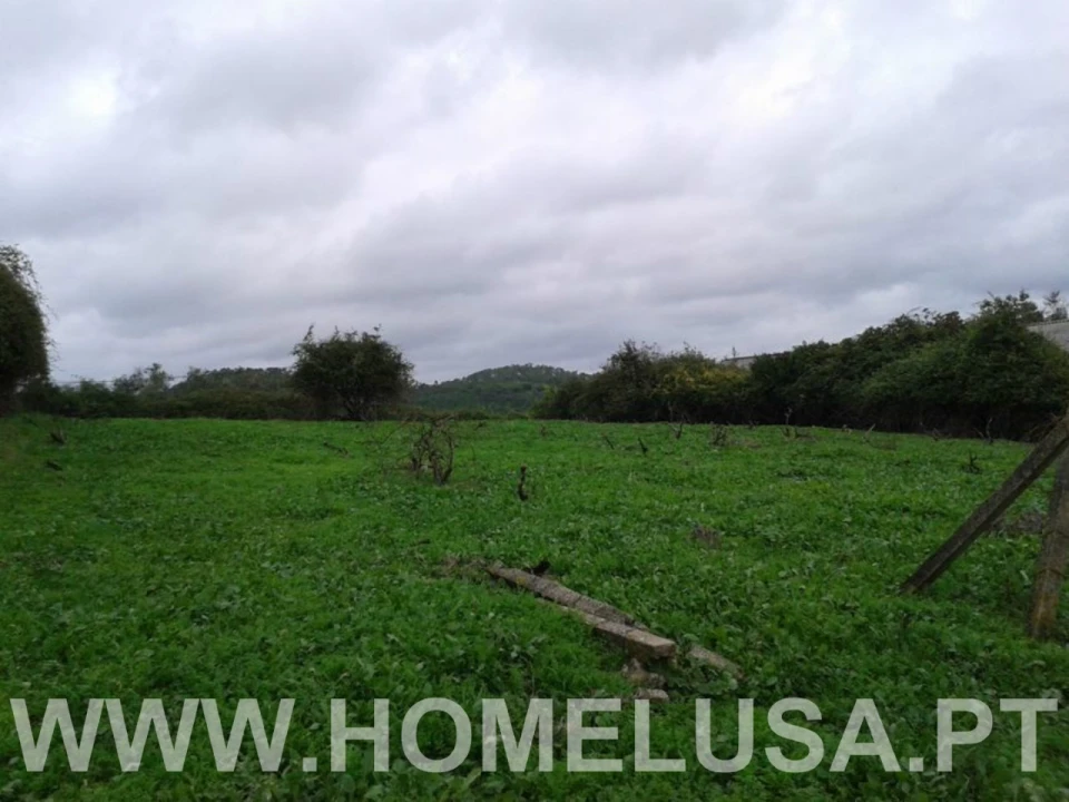 Terreno Misto para Venda em Soure Foto 27
