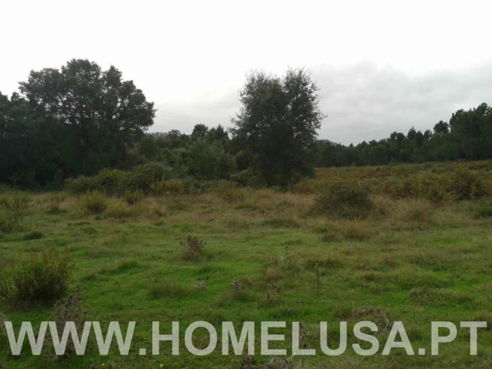 Terreno Misto para Venda em Soure Foto 29