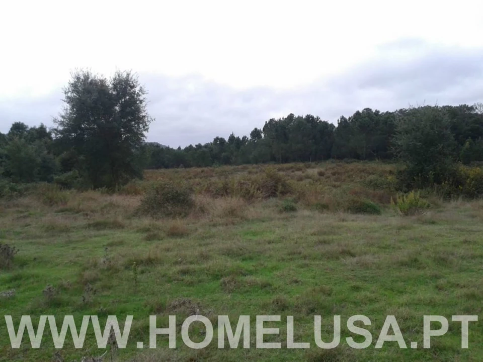Terreno Misto para Venda em Soure Foto 30