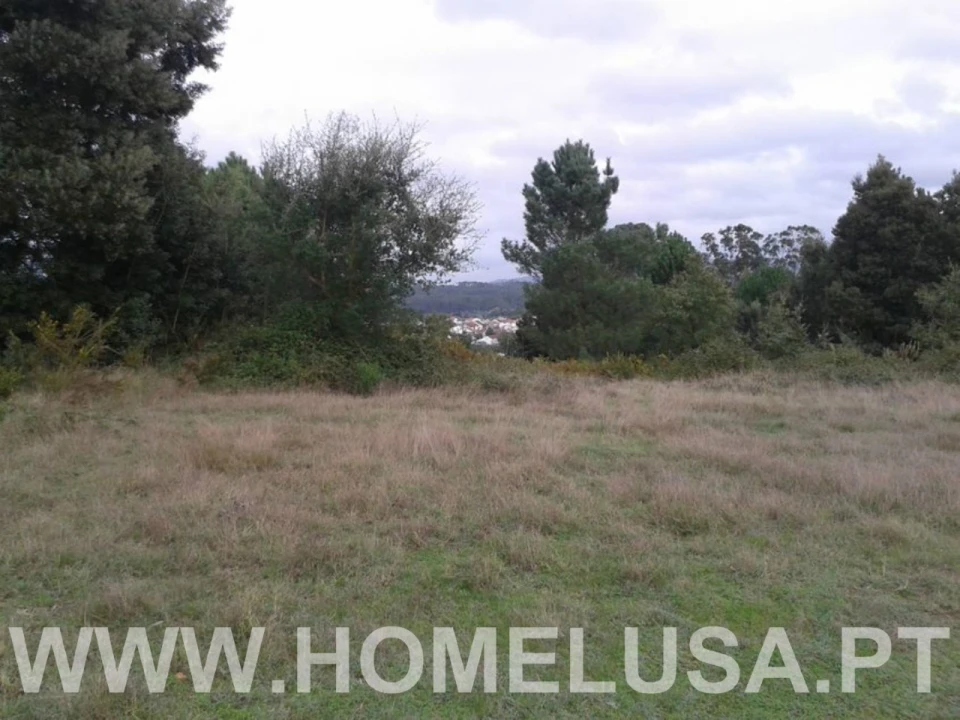 Terreno Misto para Venda em Soure Foto 31