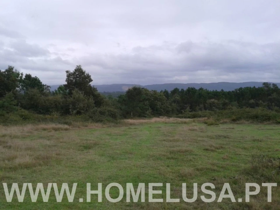 Terreno Misto para Venda em Soure Foto 32