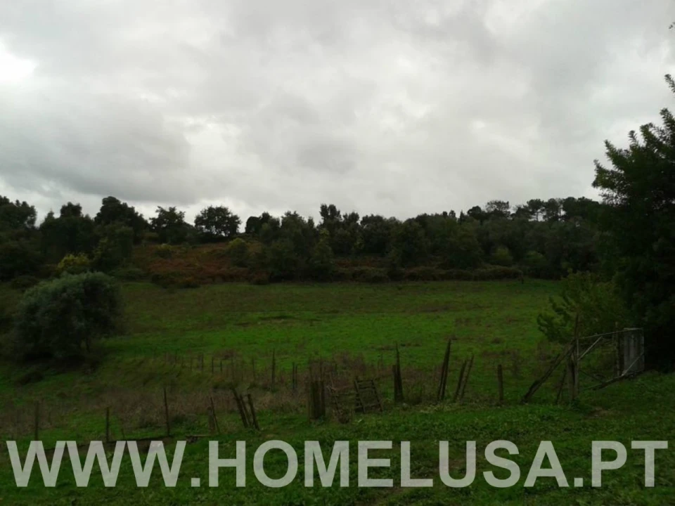Terreno Misto para Venda em Soure Foto 40