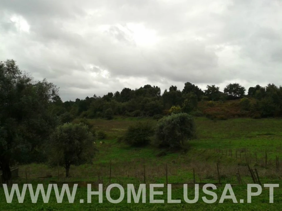 Terreno Misto para Venda em Soure Foto 41
