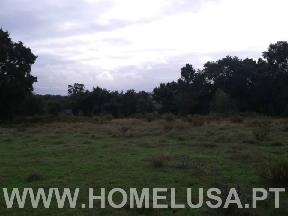 Terreno Misto para Venda em Soure Foto 43