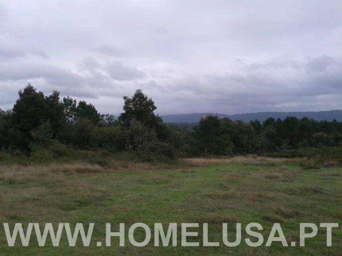 Terreno Misto para Venda em Soure Foto 2