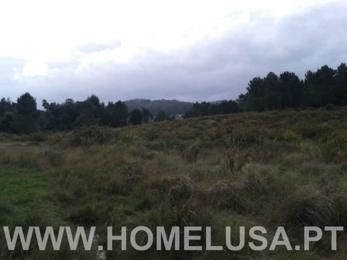 Terreno Misto para Venda em Soure Foto 6