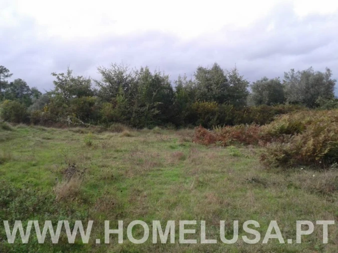 Terreno Misto para Venda em Soure Foto 8