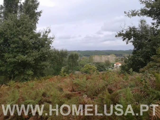 Terreno Misto para Venda em Soure Foto 10