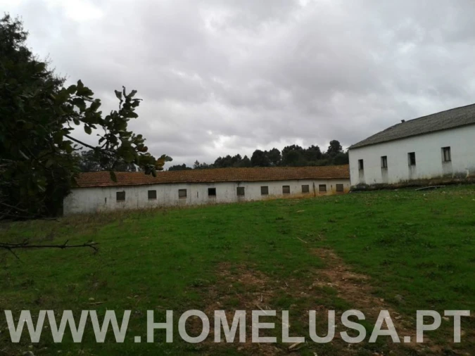 Terreno Misto para Venda em Soure Foto 13