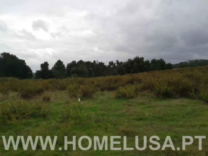 Terreno Misto para Venda em Soure Foto 14