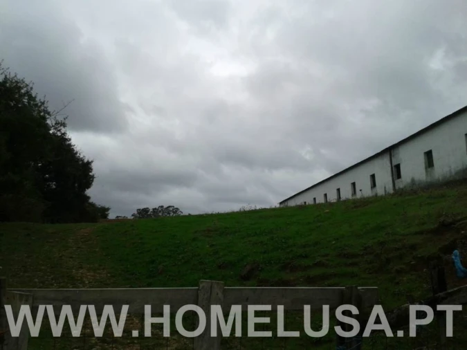 Terreno Misto para Venda em Soure Foto 20