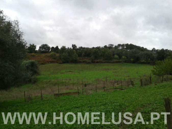 Terreno Misto para Venda em Soure Foto 22