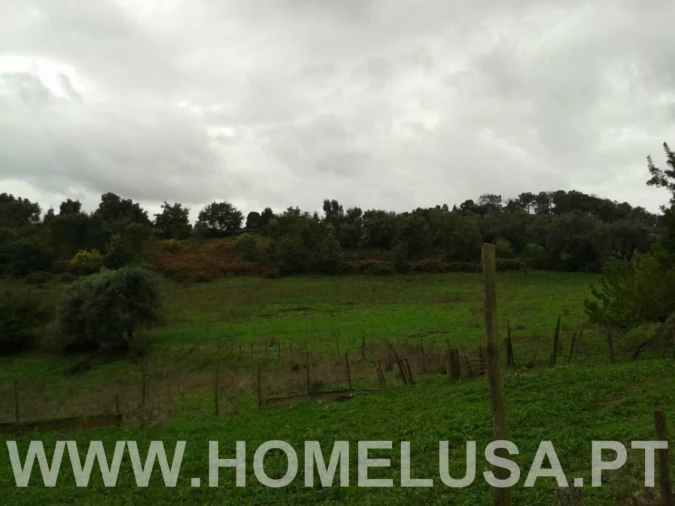 Terreno Misto para Venda em Soure Foto 23