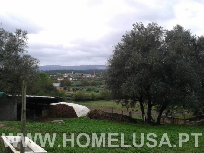 Terreno Misto para Venda em Soure Foto 26
