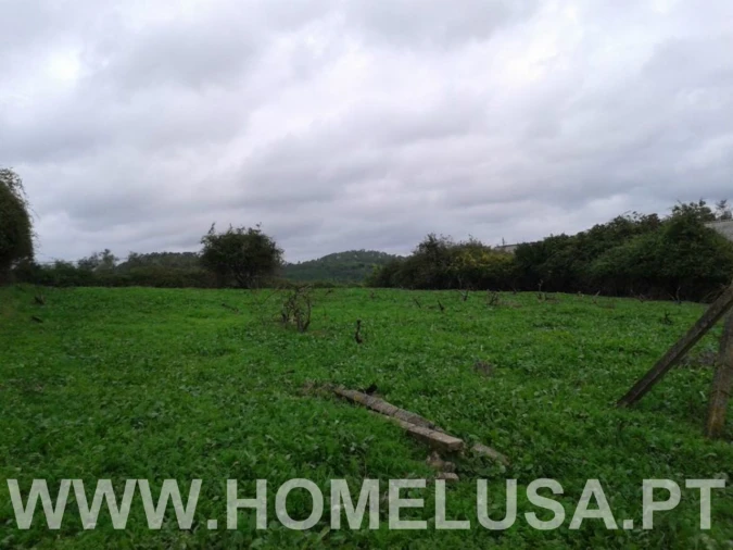 Terreno Misto para Venda em Soure Foto 27