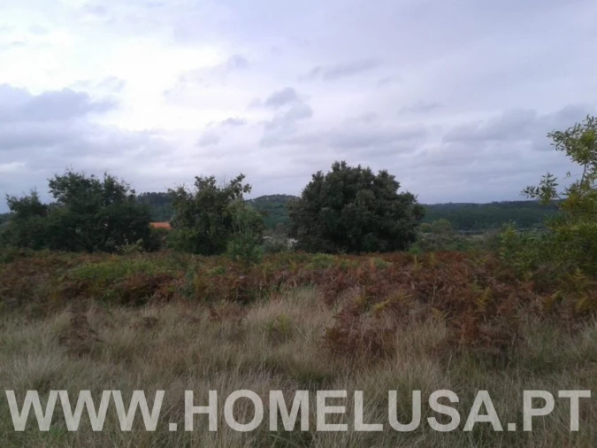 Terreno Misto para Venda em Soure Foto 33