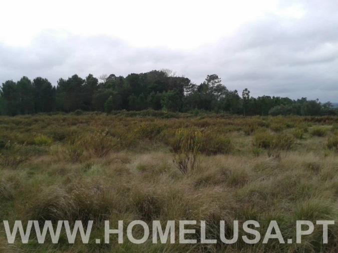Terreno Misto para Venda em Soure Foto 34
