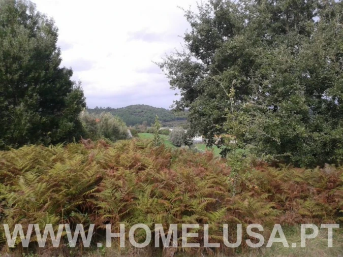 Terreno Misto para Venda em Soure Foto 35