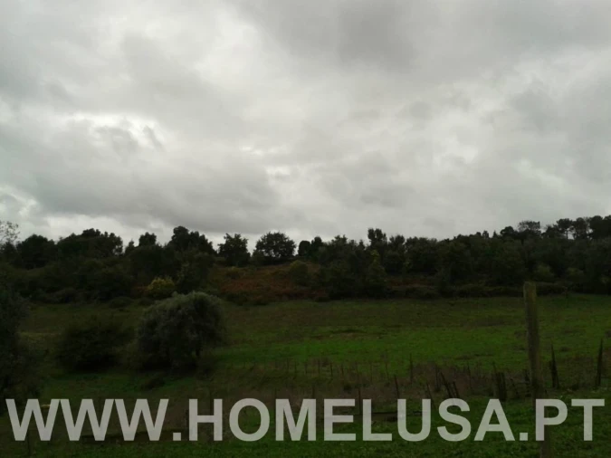 Terreno Misto para Venda em Soure Foto 38