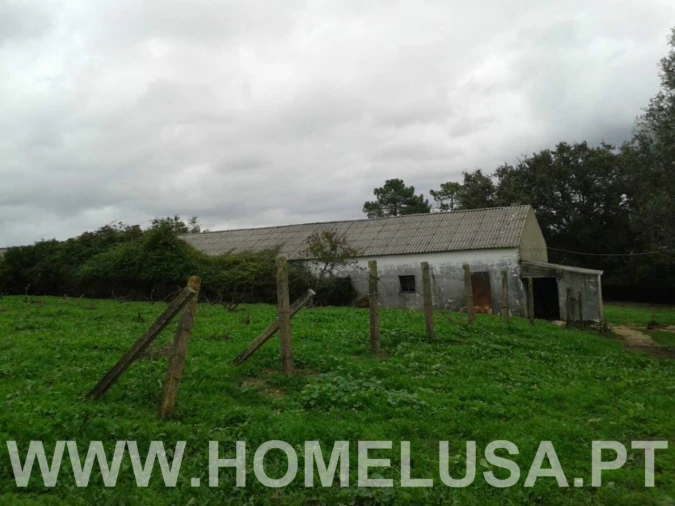 Terreno Misto para Venda em Soure Foto 39