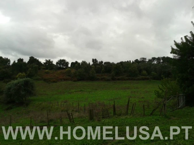 Terreno Misto para Venda em Soure Foto 40