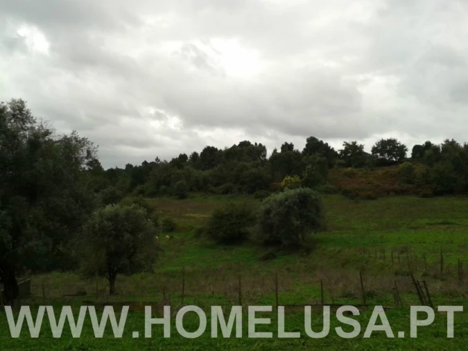 Terreno Misto para Venda em Soure Foto 41