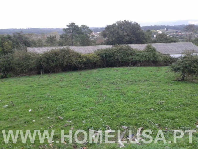 Terreno Misto para Venda em Soure Foto 44