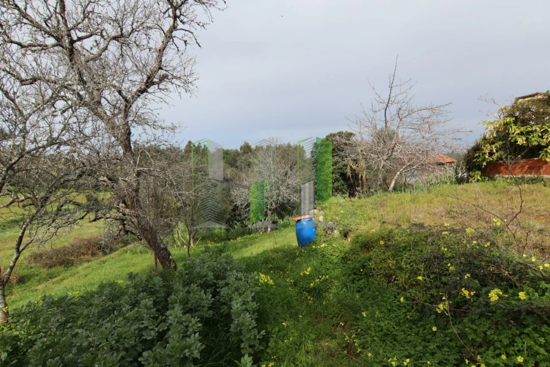 Moradia T4 para Venda em Montemor-O-Velho e Gatões Foto 8