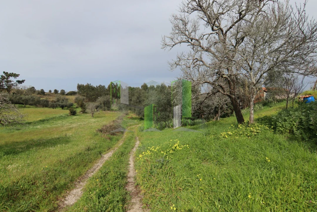 Moradia T4 para Venda em Montemor-O-Velho e Gatões Foto 9