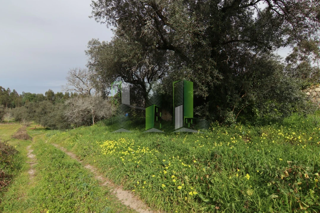 Moradia T4 para Venda em Montemor-O-Velho e Gatões Foto 15