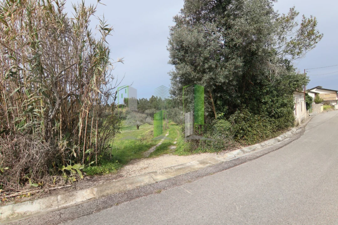 Moradia T4 para Venda em Montemor-O-Velho e Gatões Foto 21