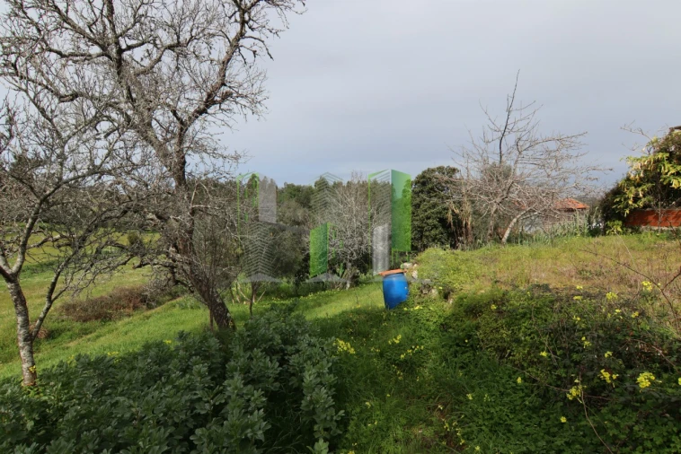 Moradia T4 para Venda em Montemor-O-Velho e Gatões Foto 6