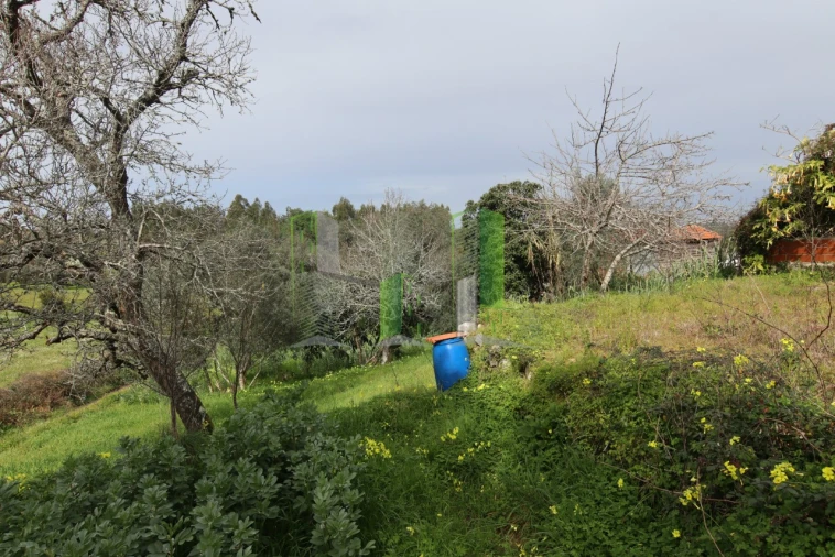 Moradia T4 para Venda em Montemor-O-Velho e Gatões Foto 7