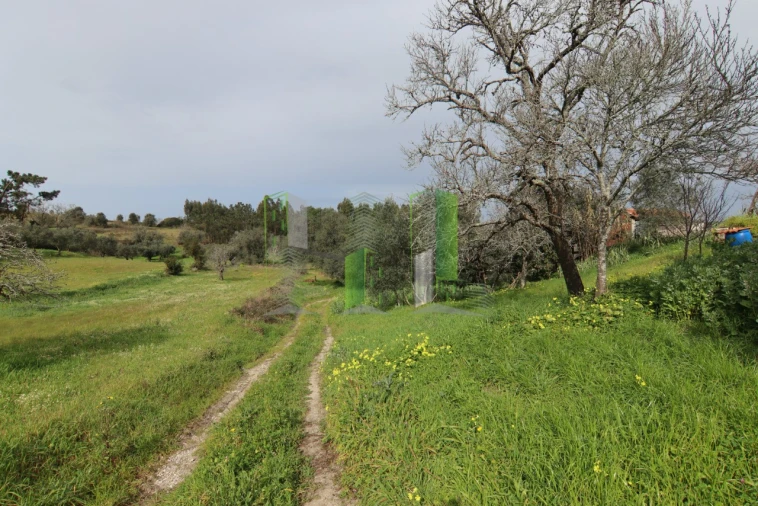 Moradia T4 para Venda em Montemor-O-Velho e Gatões Foto 9