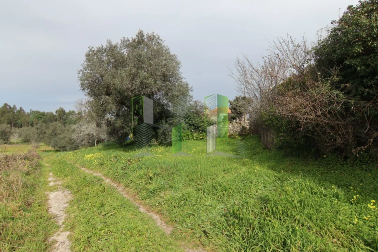 Moradia T4 para Venda em Montemor-O-Velho e Gatões Foto 17