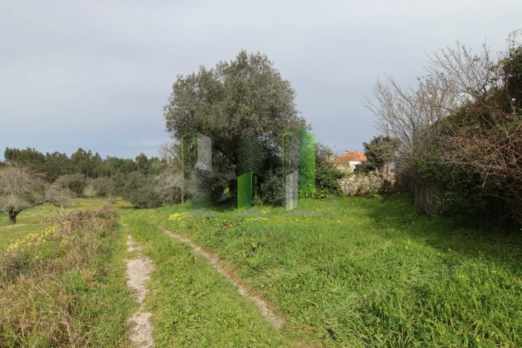 Moradia T4 para Venda em Montemor-O-Velho e Gatões Foto 18
