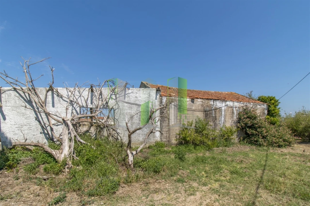 Terreno para Venda em Maiorca Foto 3